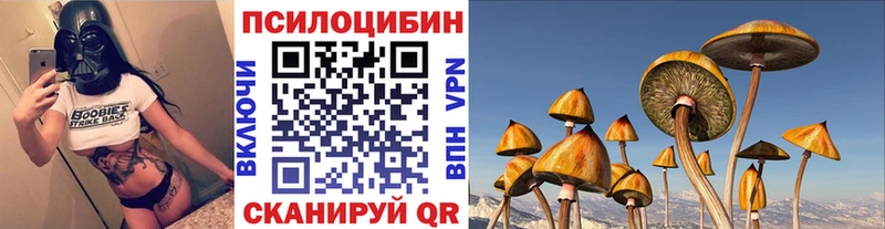 Псилоцибиновые грибы мухоморы  Купить закладки  Советская Гавань 